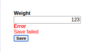 The Form after a failed save