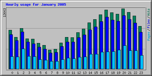 Hourly usage for January 2005